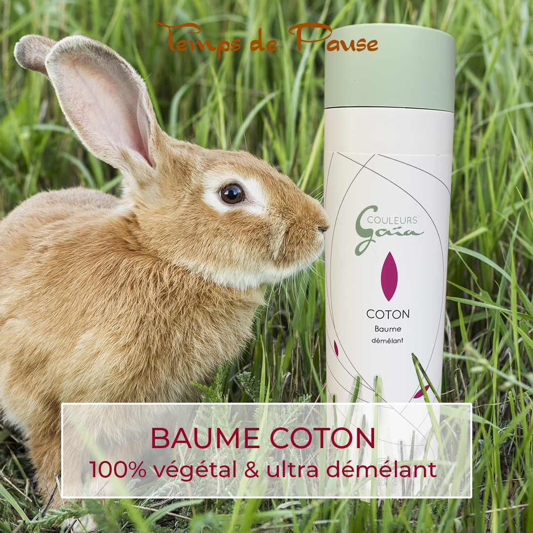 Après-shampoing démêlant