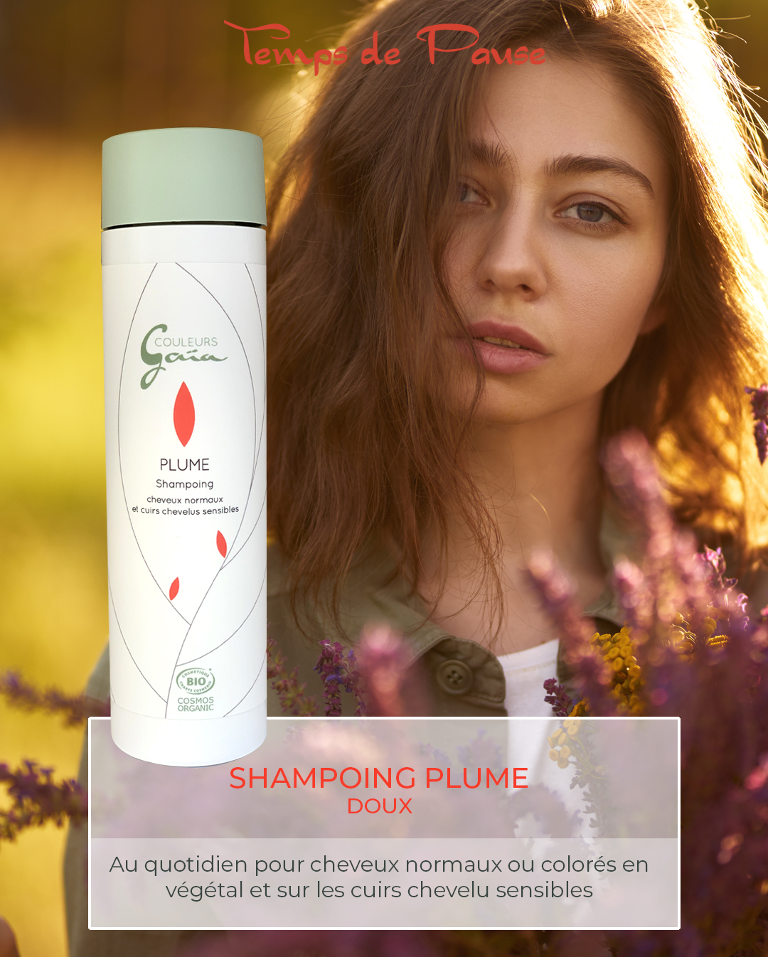 Shampoing-PLUME-Temps de Pause Maroilles
